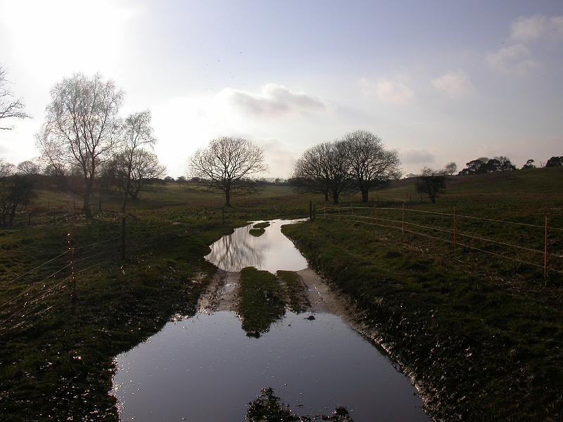 Cycle Track Near Blythburgh - DSCN3844.JPG